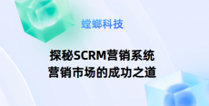 探秘SCRM营销系统：营销市场的成功之道