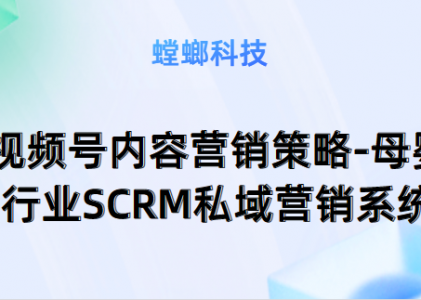 视频号内容营销策略：深入解读母婴行业SCRM私域营销系统